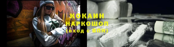 ECSTASY Богданович