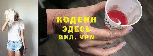 ECSTASY Богданович