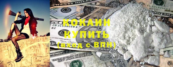 ECSTASY Богданович