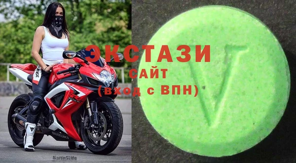 ECSTASY Богданович
