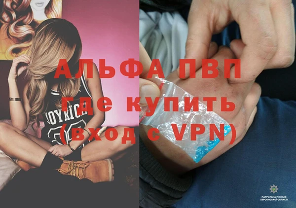 хмурый Богородск