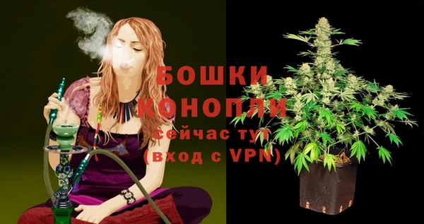 метадон Богородицк