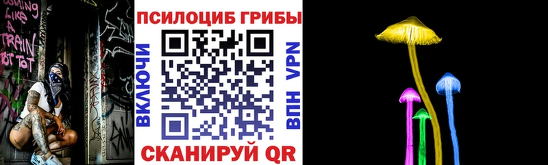 Псилоцибиновые грибы Psilocybe  Купить закладки  Соль-Илецк 