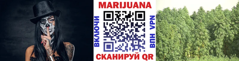 Конопля гибрид Соль-Илецк