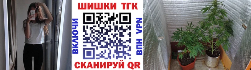 Канабис марихуана  Купить закладки  Соль-Илецк 
